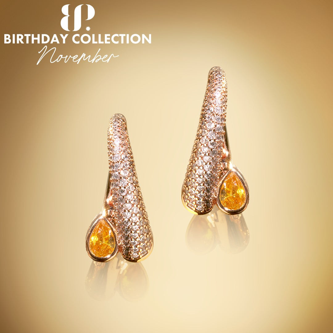 November 2025 Birthday Collection - Earrings
